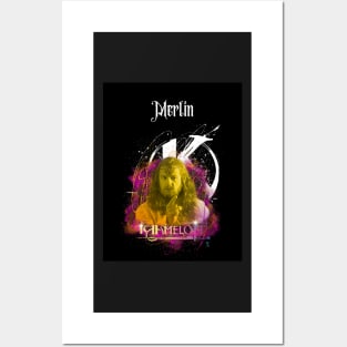 Merlin Posters and Art